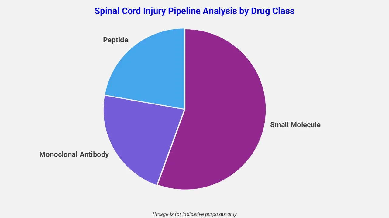 Spinal Cord Injury Pipeline Analysis By Drug Class