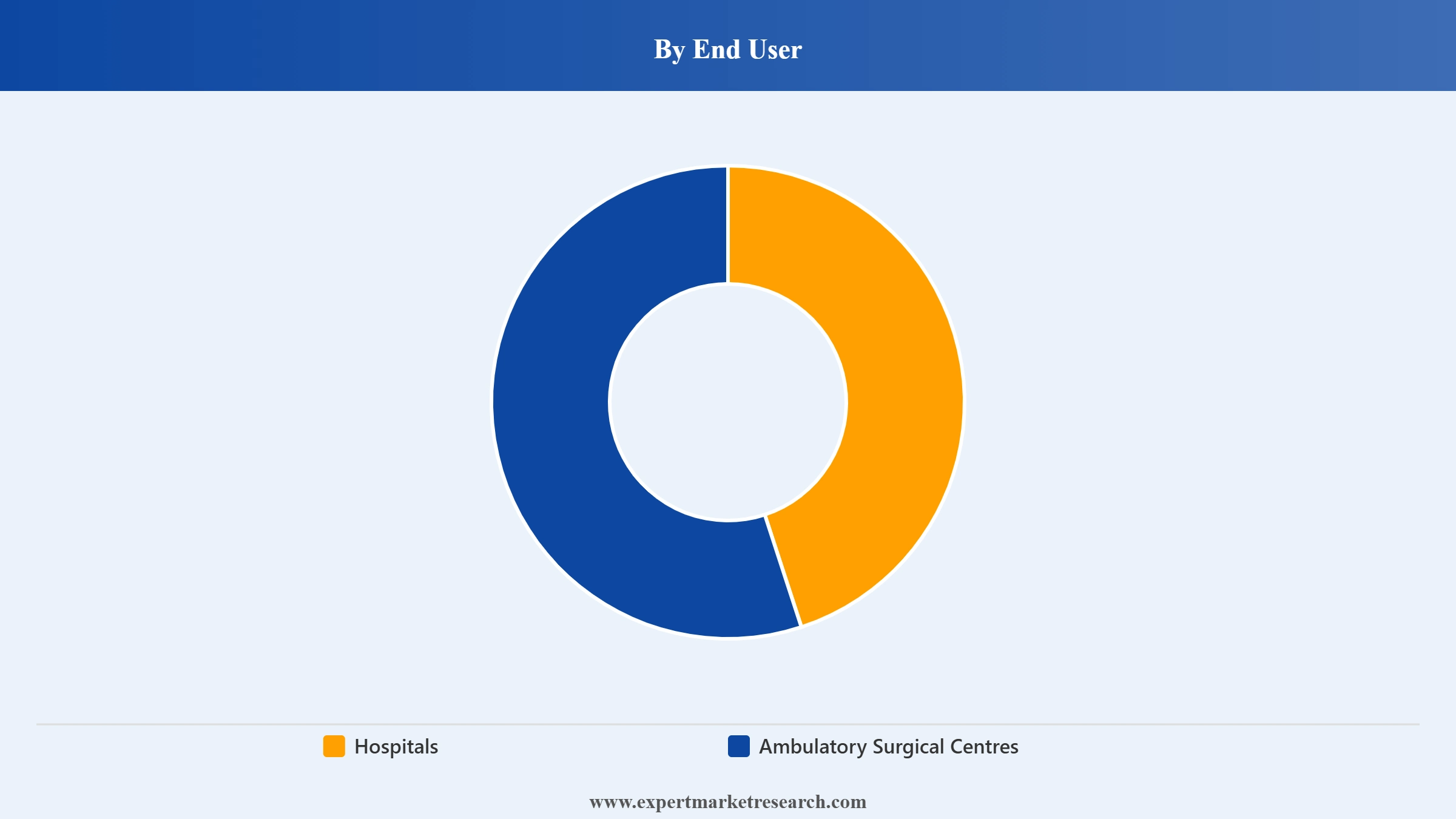 Spine Surgery Robots Market Segment End User