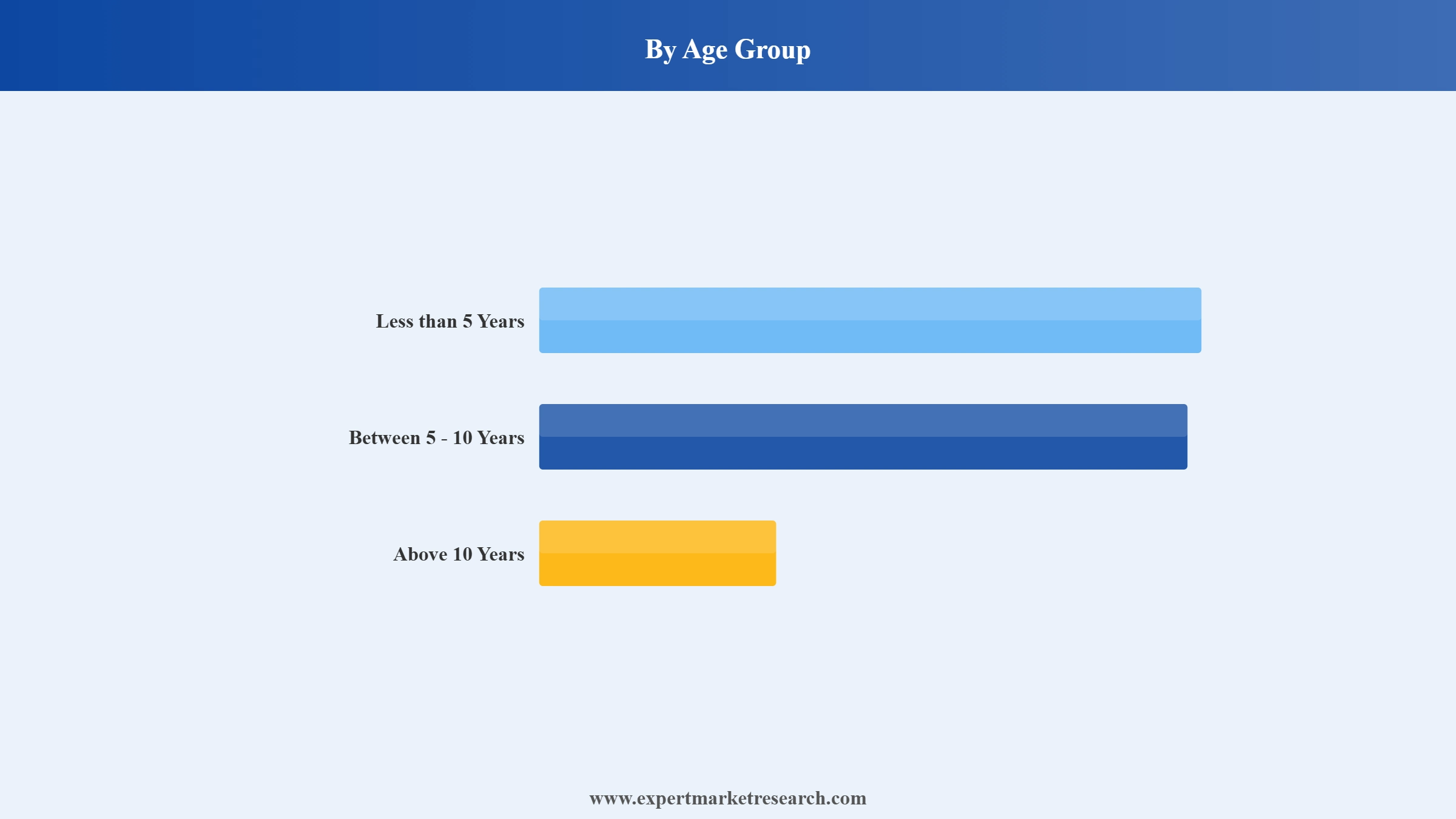 Sports and Outdoor Toys Market Segment Age Group