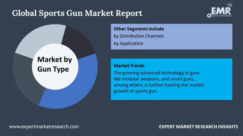 sports gun market by segments