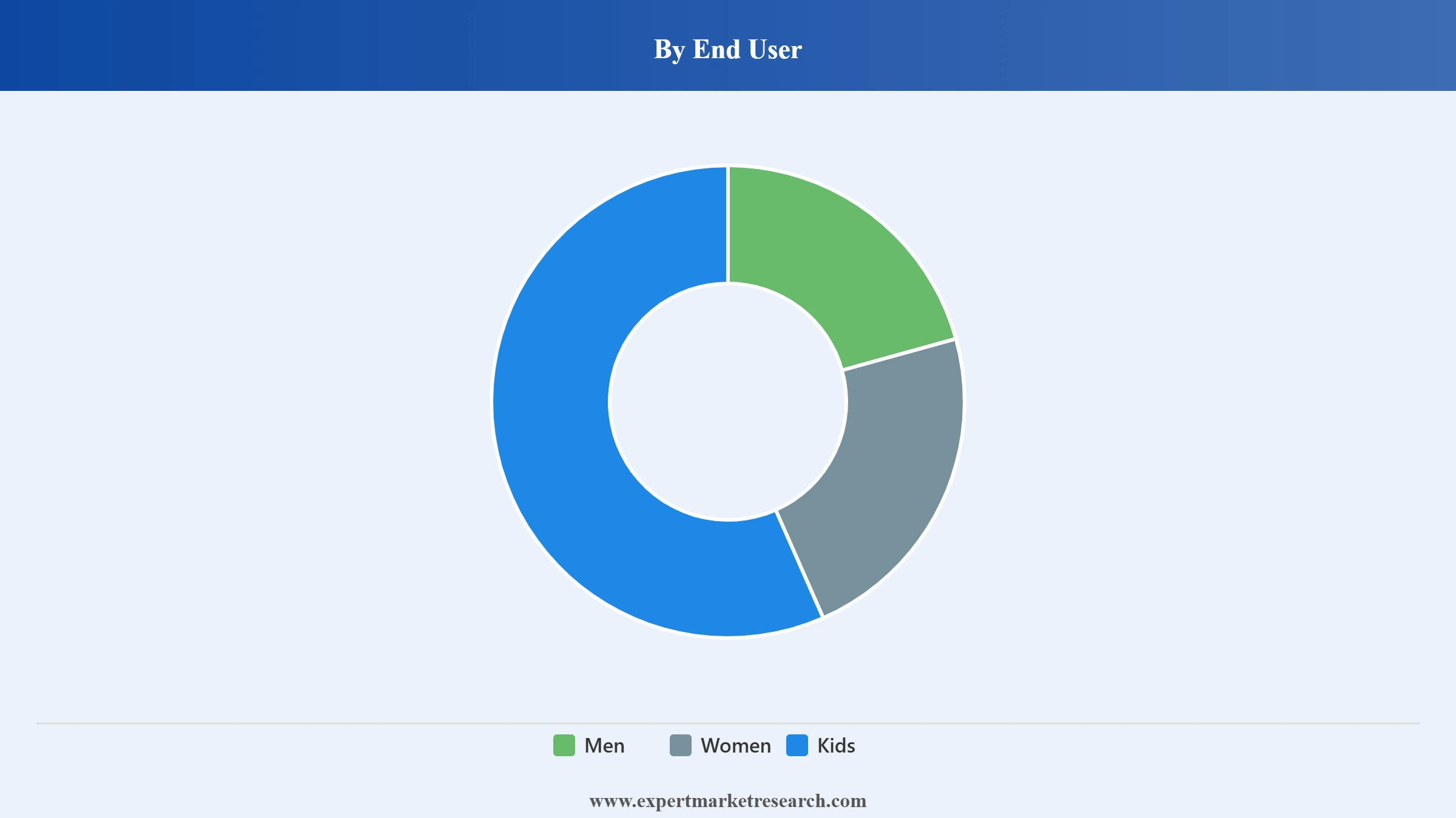 Sportswear Market Segment End User