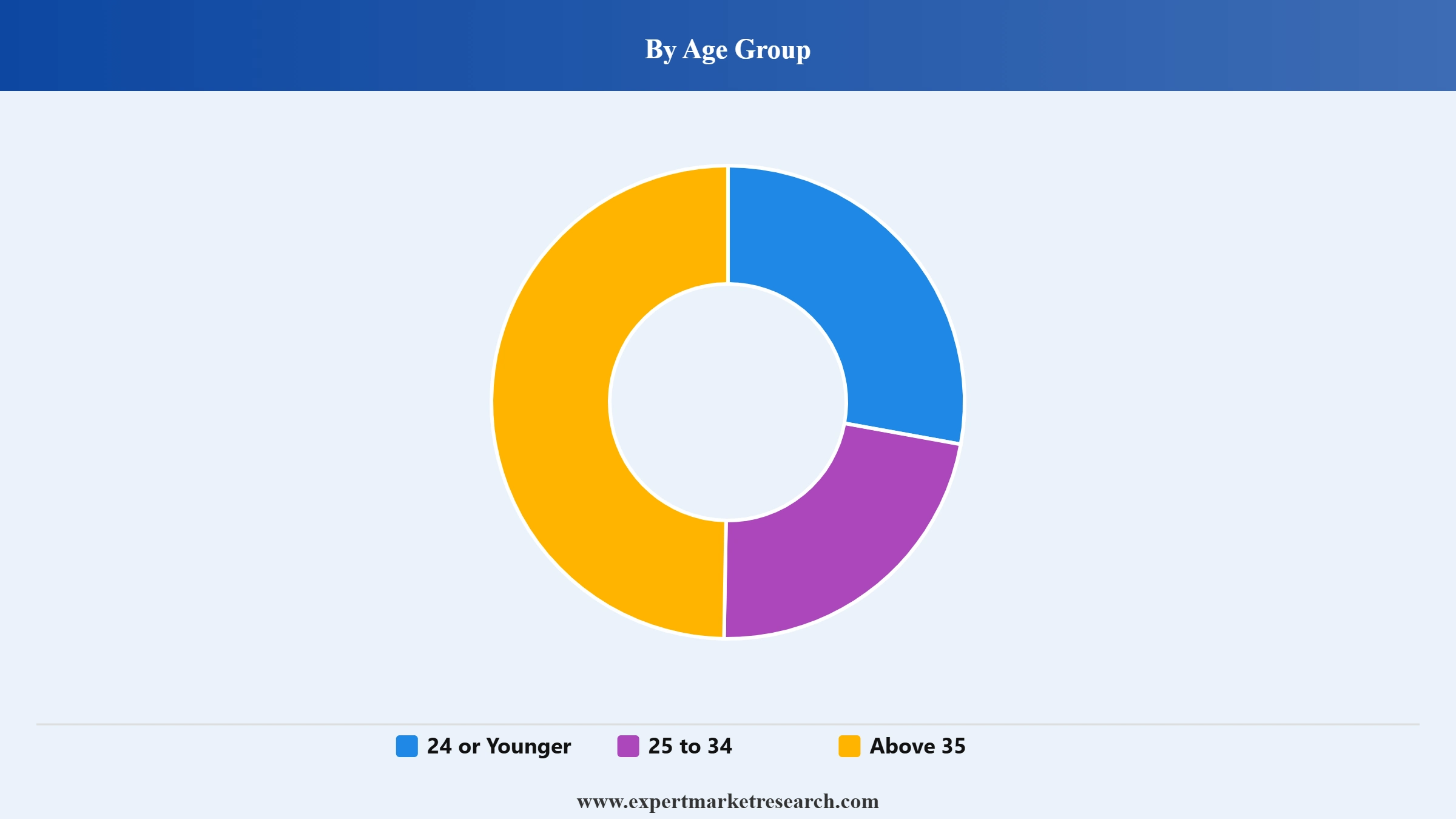 Student Loan Market Segment Age Group