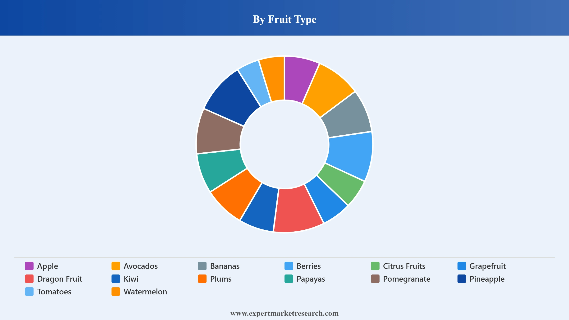 Superfruit Market Segment Fruit Type