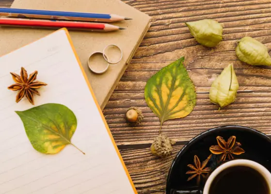 Sustainability Trends In Stationery And Writing Tools