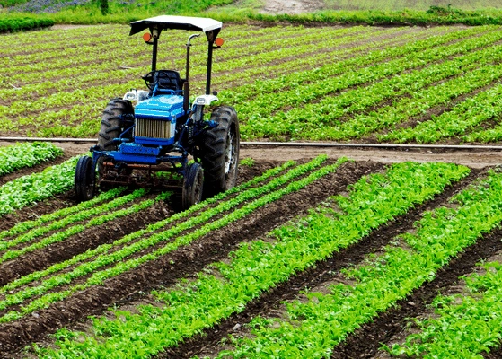 Sustainable Agriculture India