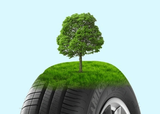 Sustainable Rubber Production