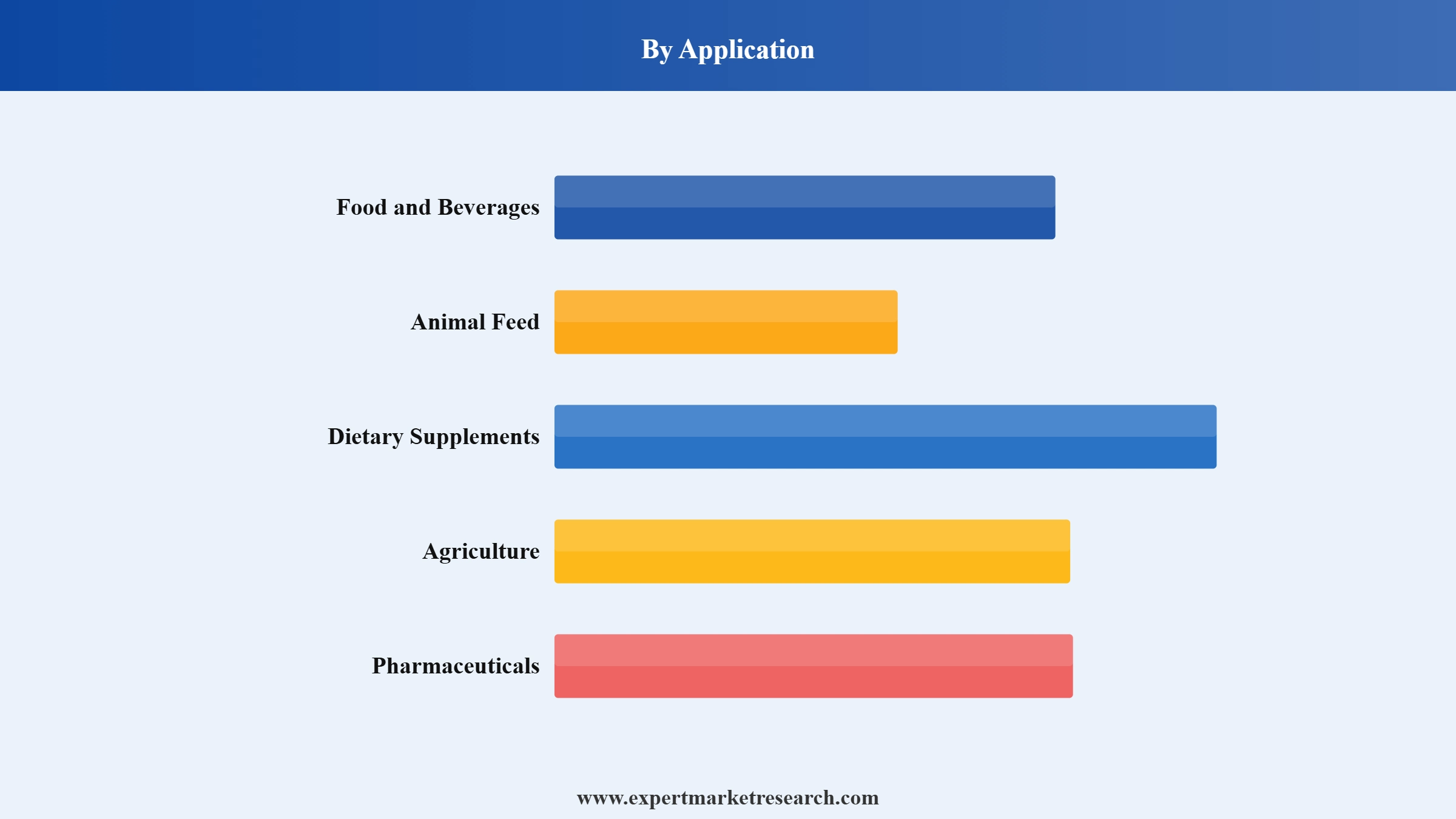 Taurine Market Segment Application