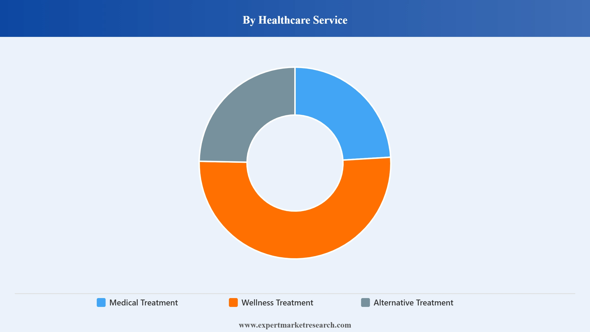 Thailand Medical Tourism Market Segment Healthcare Service