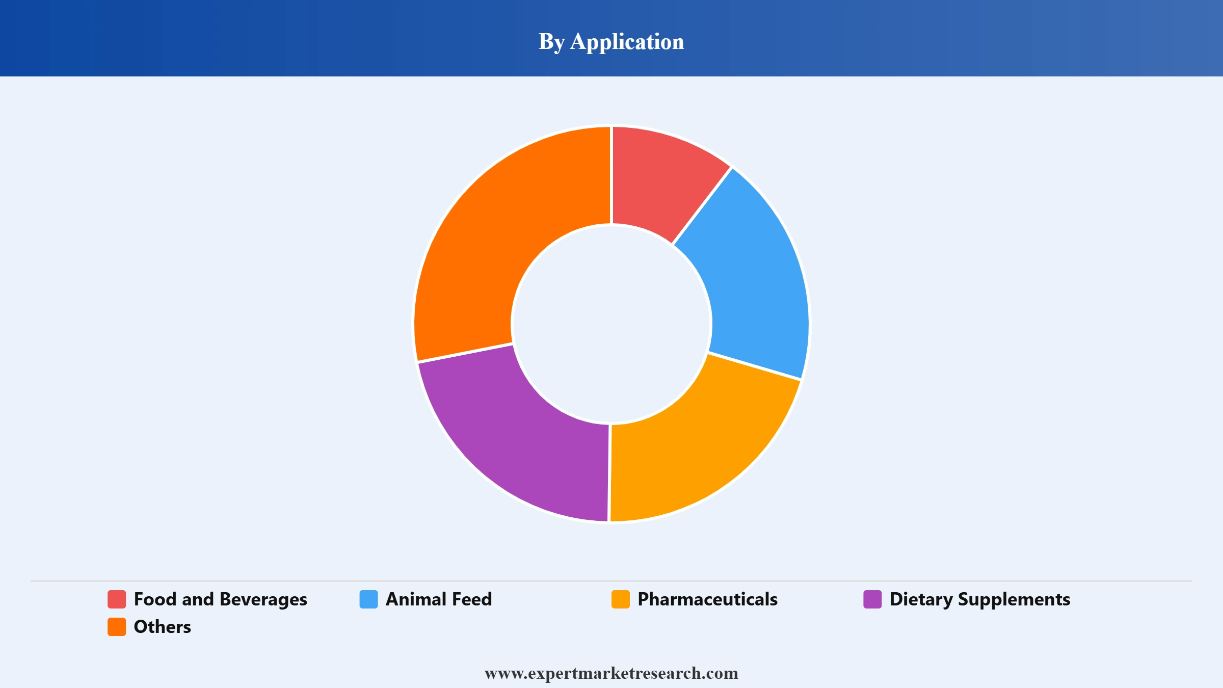 Thiamine Market Segment Application