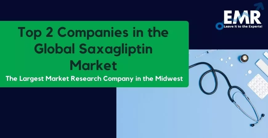 the Top 2 Companies in the Global Saxagliptin Market