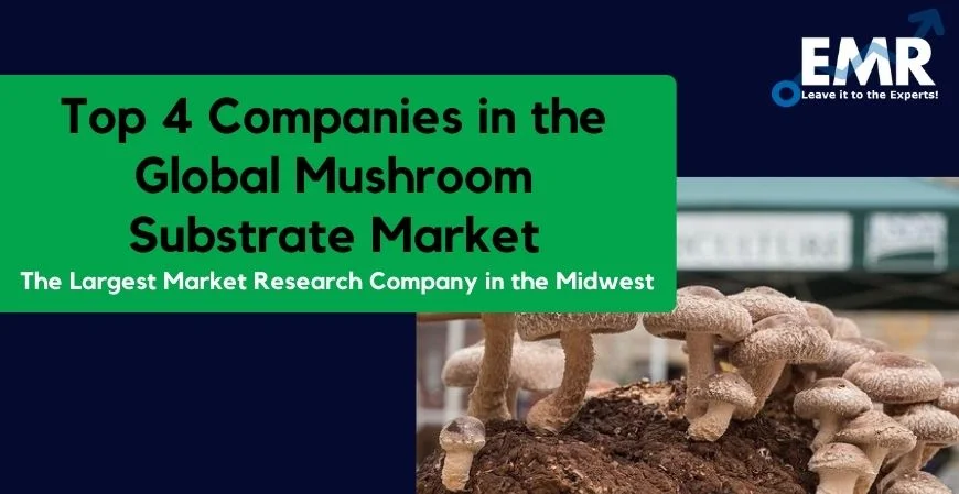 Top 4 Companies in the Global Mushroom Substrate Market