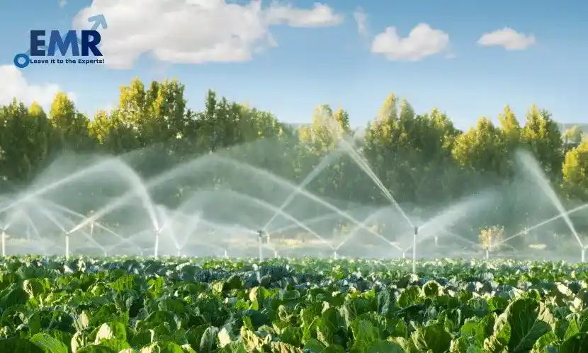 Top 5 Companies in the Global Micro Irrigation Systems Market