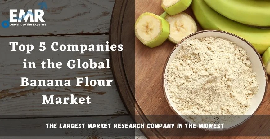 Top 5 Companies in the Global Banana Flour Market