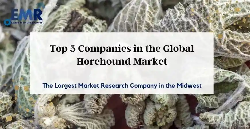 Top 5 Horehound Companies