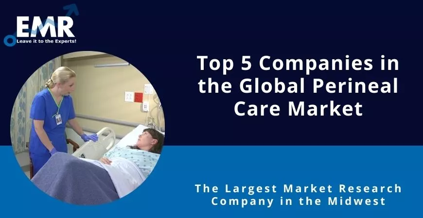Top 5 Companies in the Global Perineal Care Market