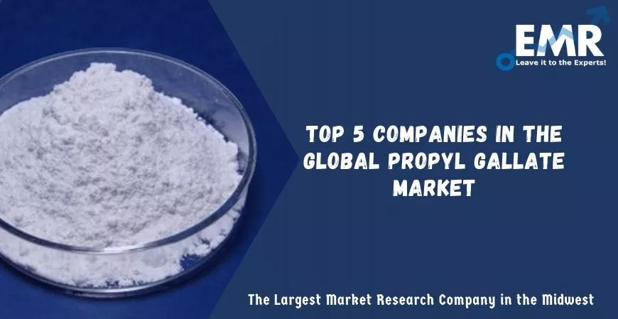 Top 5 Companies in the Global Propyl Gallate Market