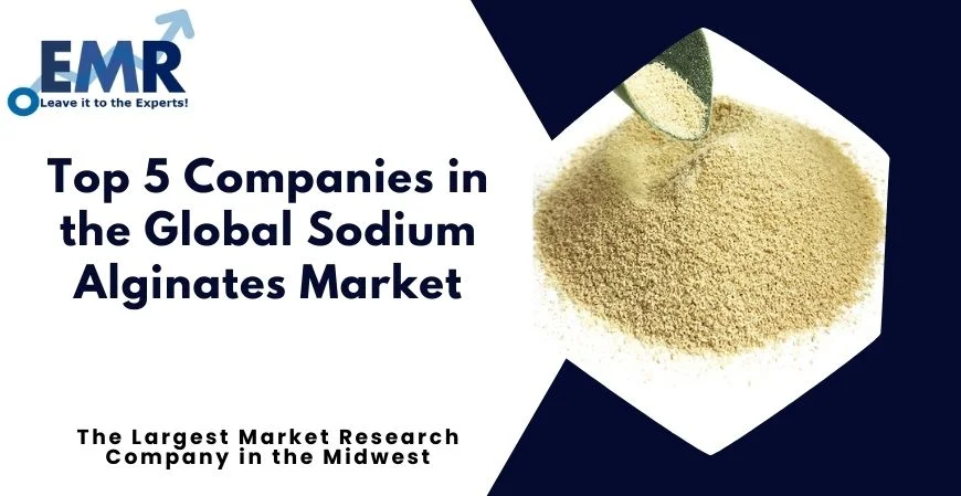  Top 5 Companies in the Global Sodium Alginates Market