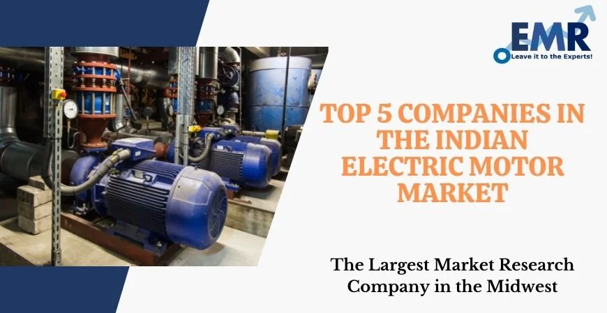  Top 5 Companies in the Indian Electric Motor Market