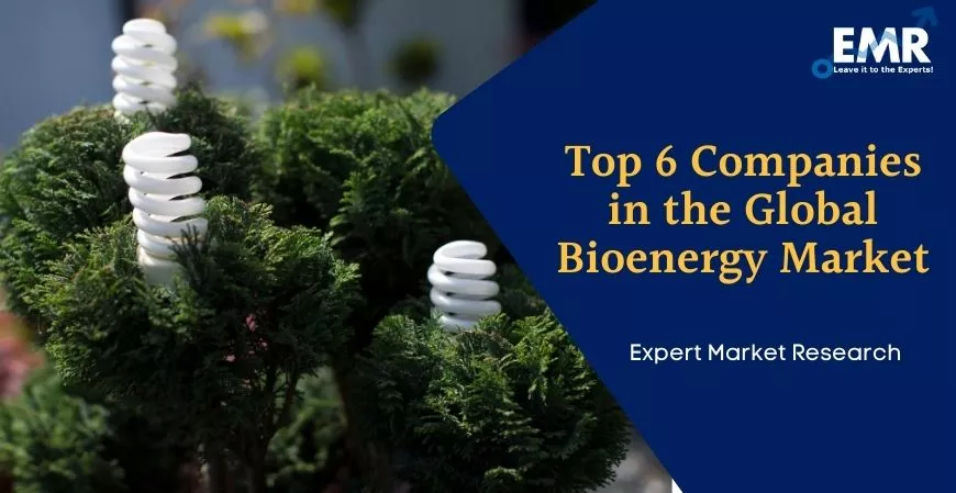 Top 6 Companies in the Global Bioenergy Market