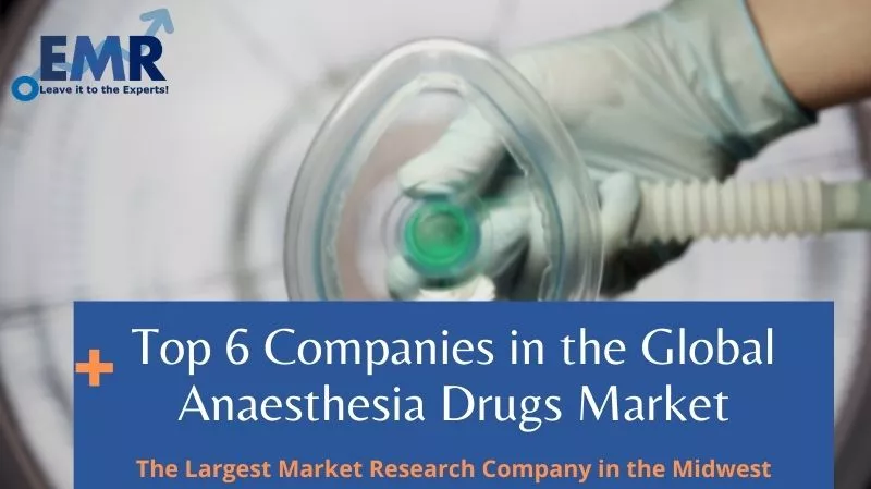 Top 6 Companies in the Global Anaesthesia Drugs Market
