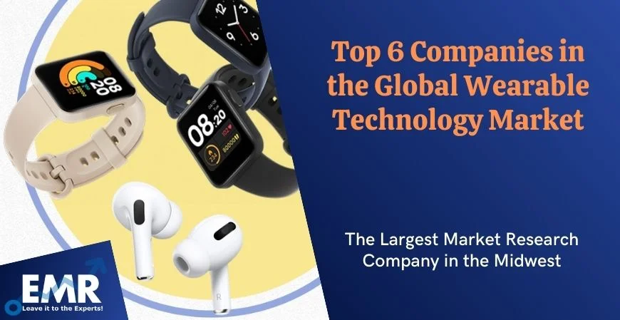  Top 6 Companies in the Global Wearable Technology Market