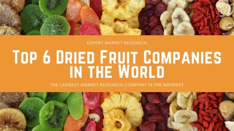 Top 6 Dried Fruit Companies in the World