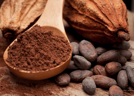 Top 10 Cocoa Companies and Brands
