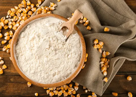 Top 10 Corn Starch Manufacturers