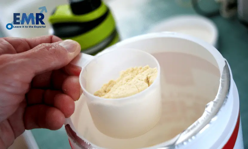top egg white protein powder companies