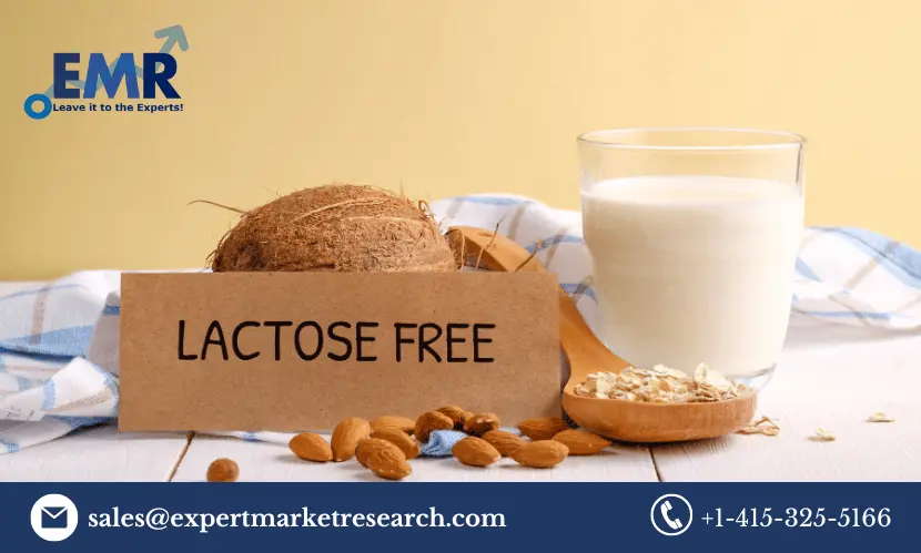 top lactose free products companies