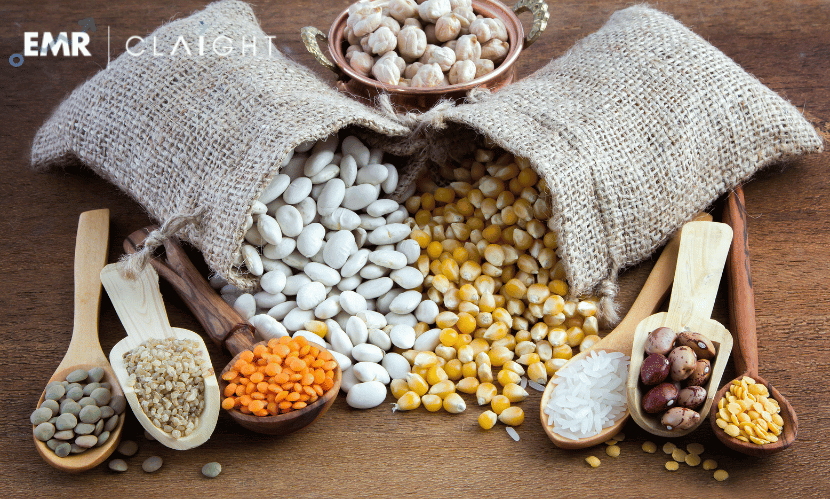 Top 7 Companies Dominating the Global Pulses Market Landscape