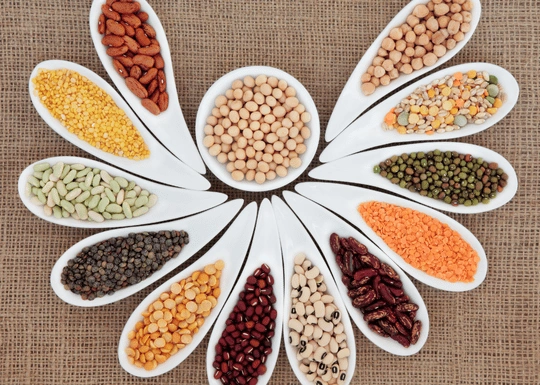 Top 7 Pulses Companies