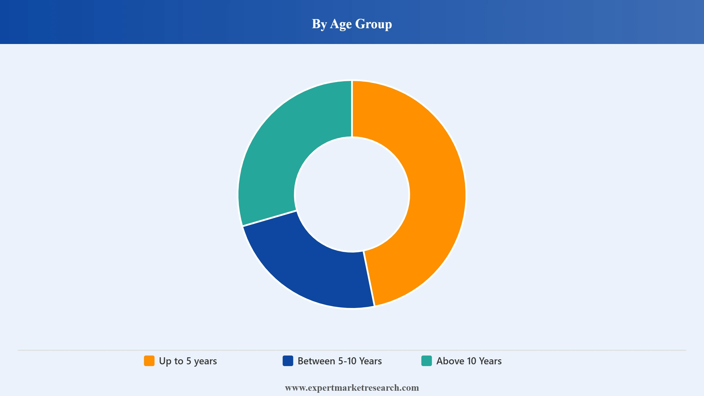 Toys Market Segment Age Group