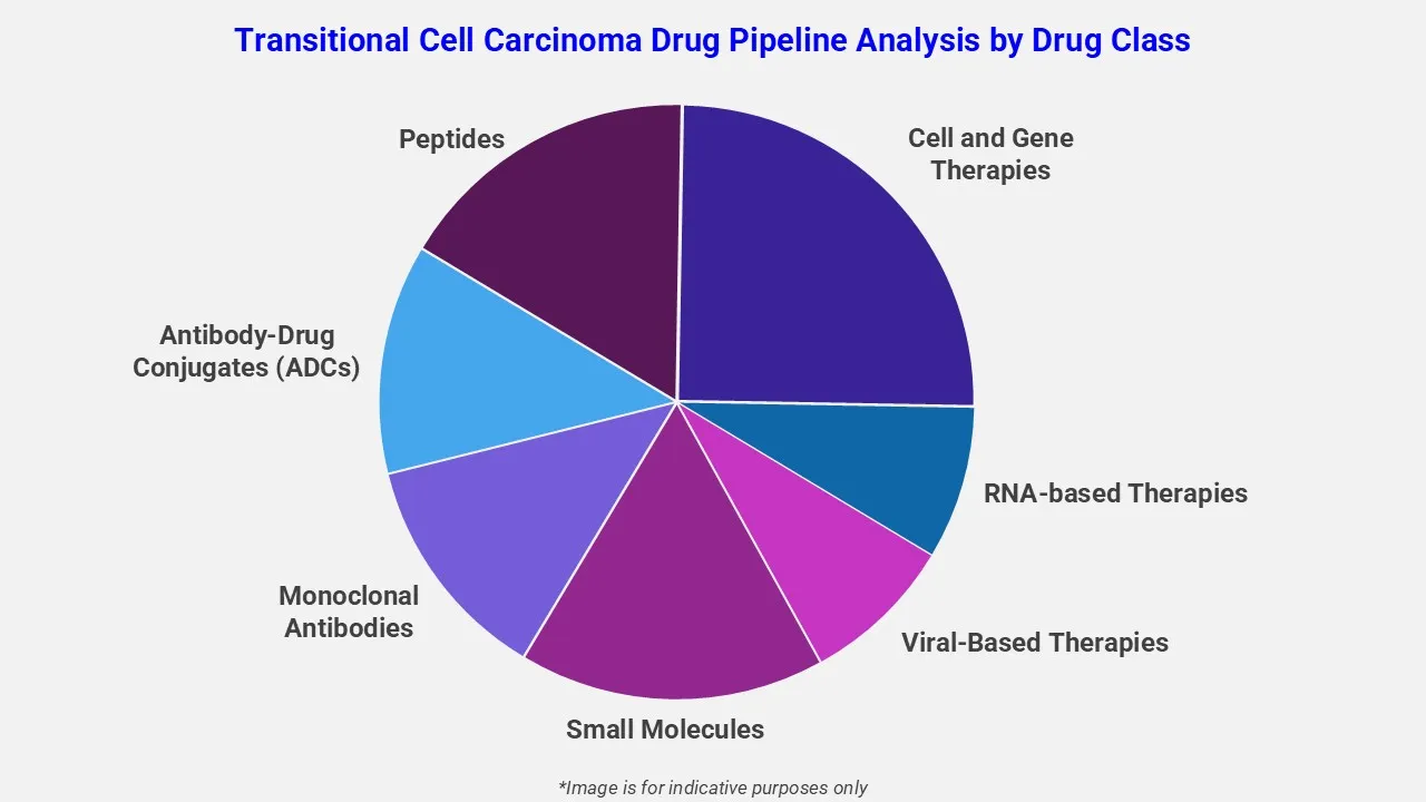 Transitional Cell Carcinoma Drug Pipeline Analysis By Drug Class