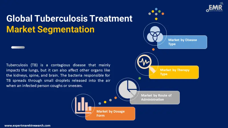 tuberculosis treatment market by segments