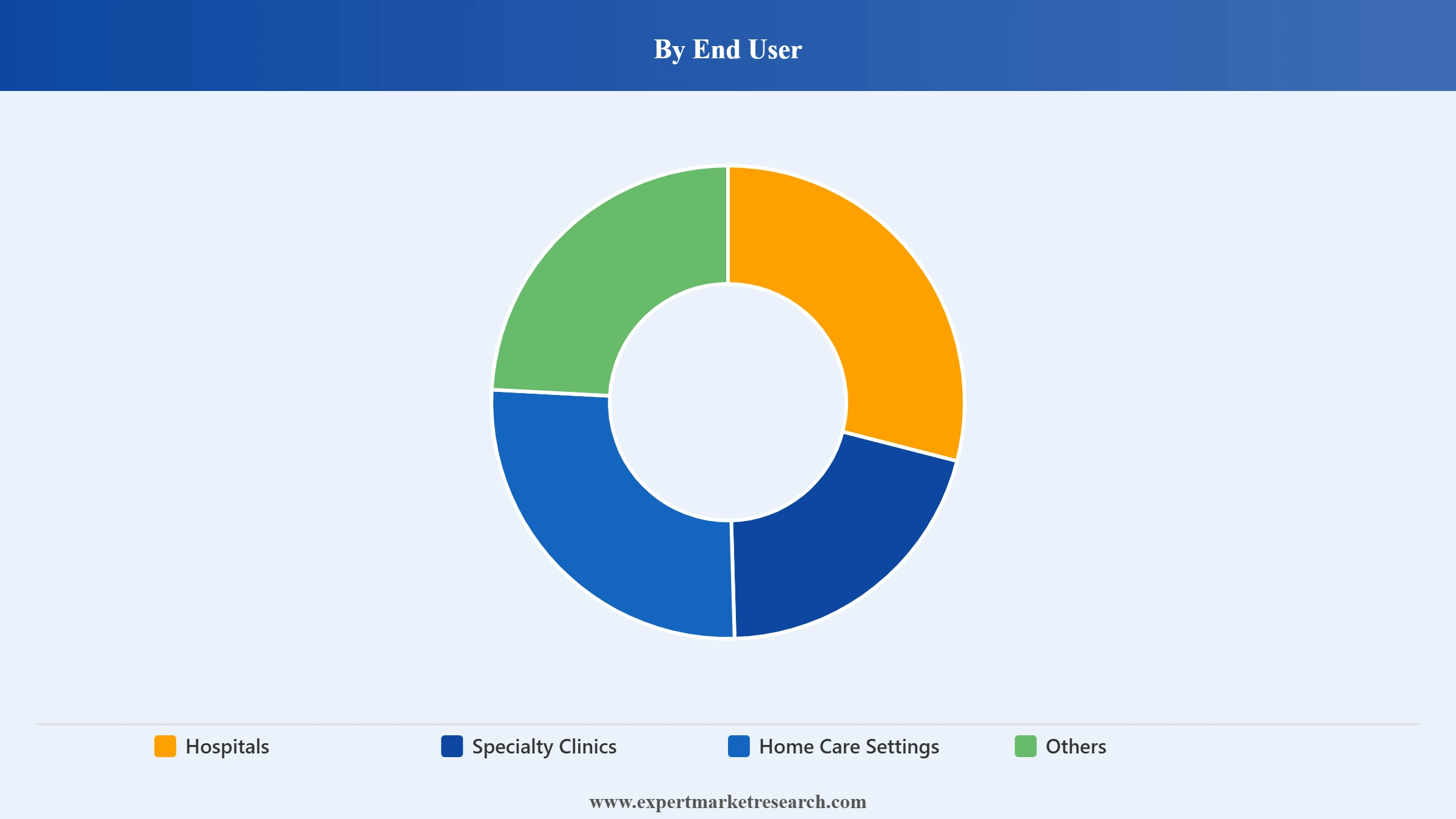 Type 1 Diabetes Market Segment End User