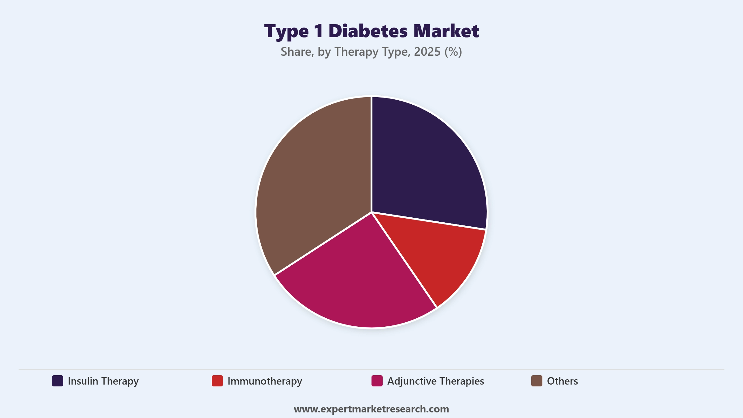 Type 1 Diabetes Market Segment Therapy Type