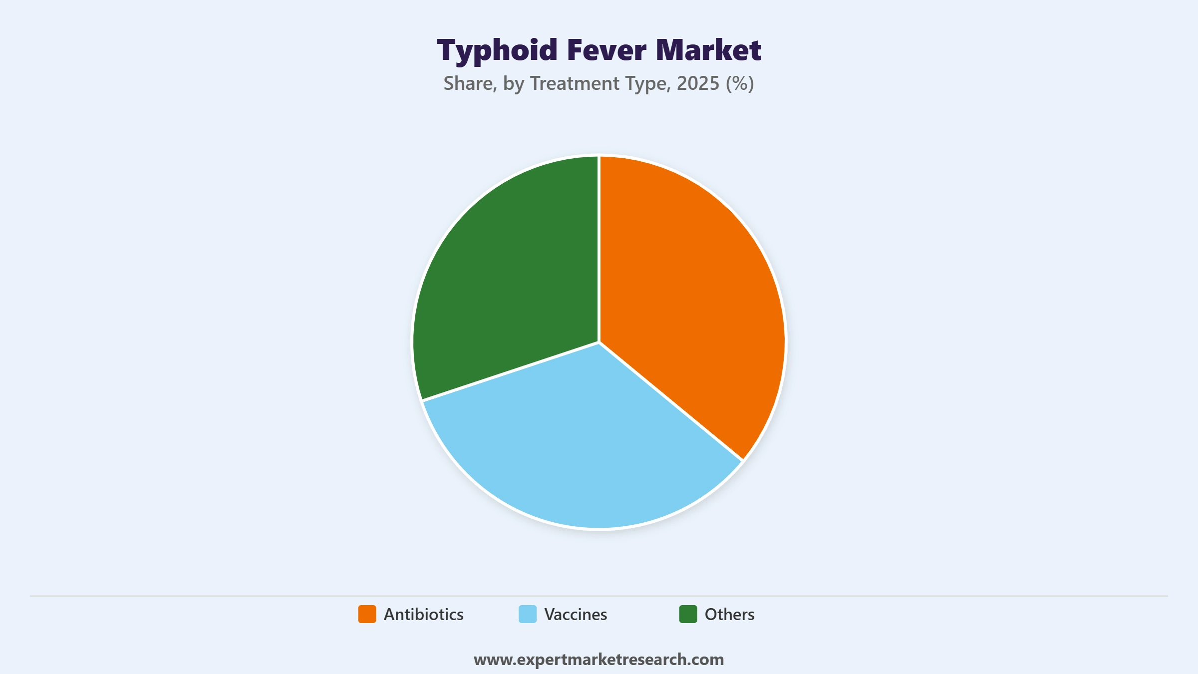 Typhoid Fever Market Segment Treatment Type