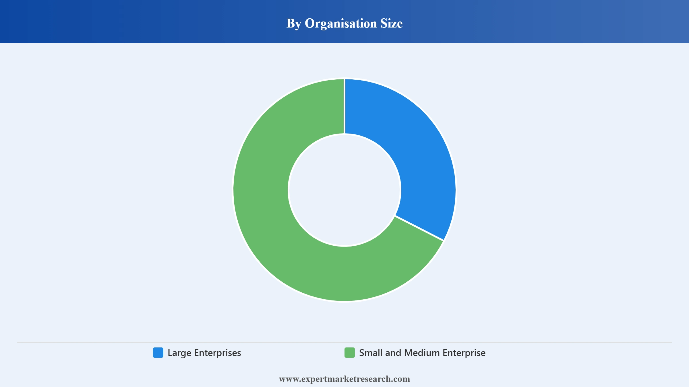 UAE Cyber Security Market Segment Organisation Size