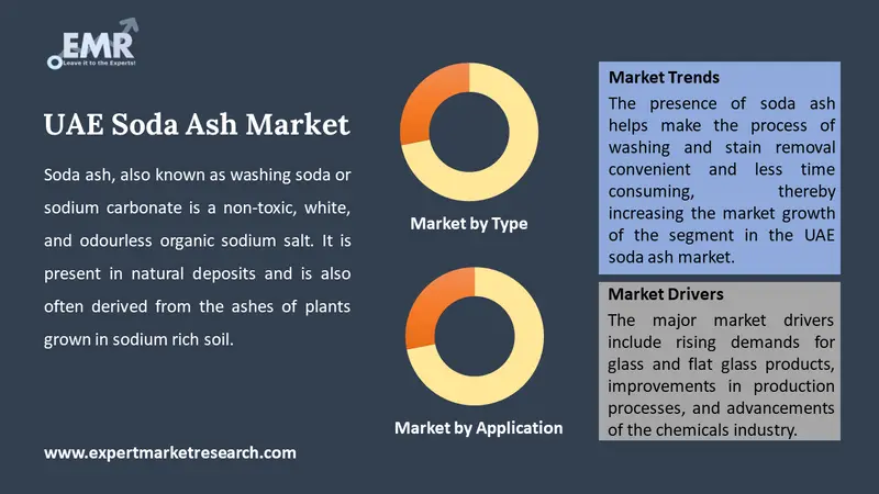 uae soda ash market by segments