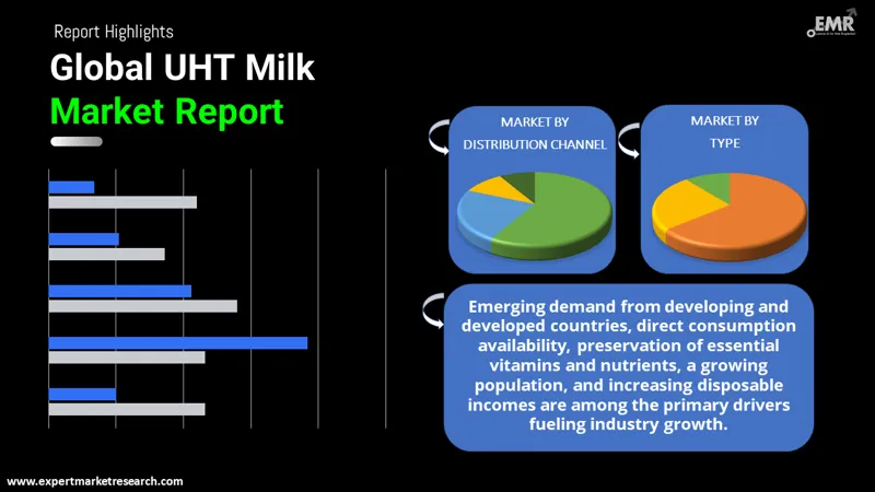 UHT Milk Market By Segments