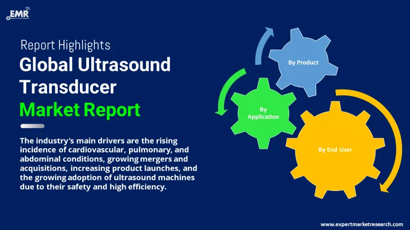 Global Ultrasound Transducer Market