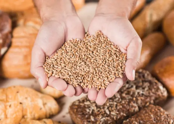 Understanding Wheat Types And Their Uses