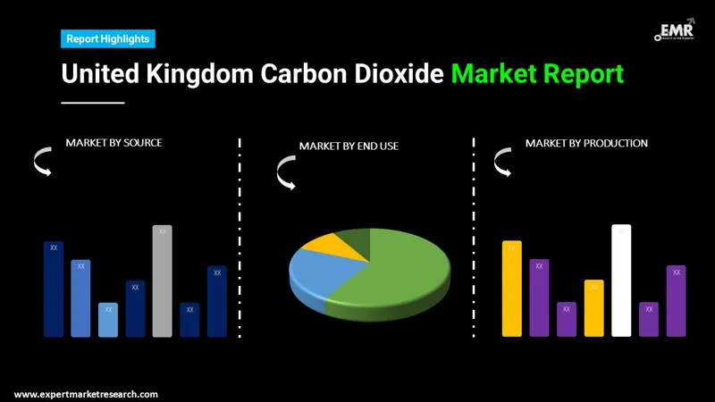 united kingdom carbon dioxide market by segments