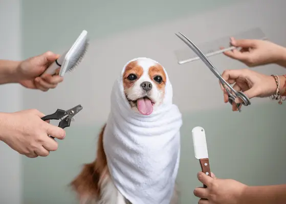 United Kingdom Personalized Pet Grooming