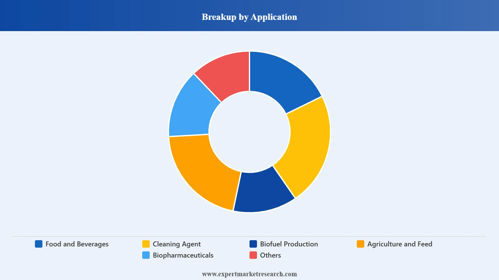 United States Biocatalysts Market Segment Application