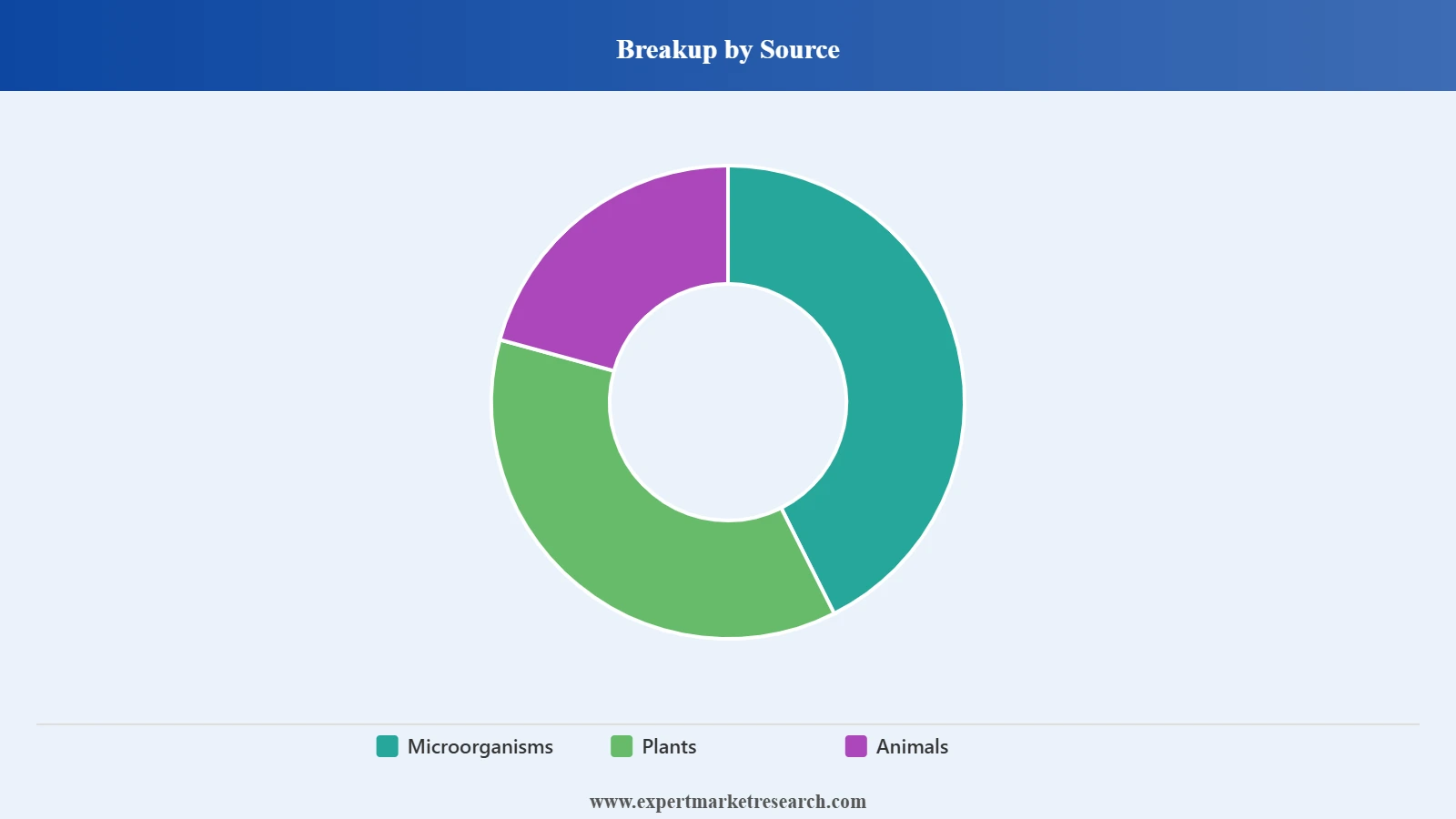 United States Biocatalysts Market Segment Source
