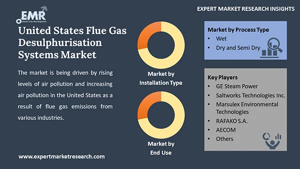 United States Flue Gas Desulphurisation Systems Market by Segment