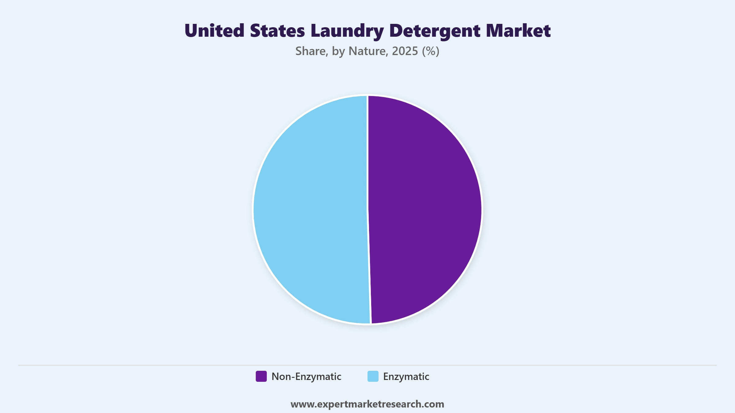 United States Laundry Detergent Market Segment Nature