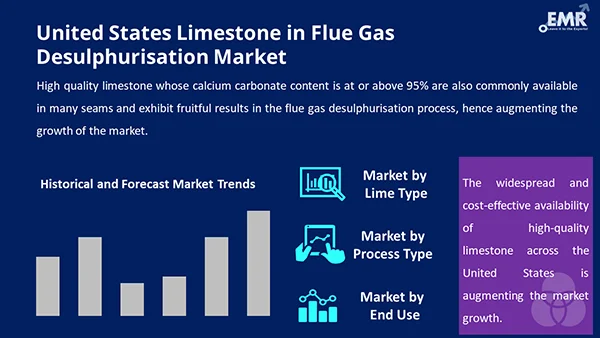 United States Limestone in Flue Gas Desulphurisation Market by Segment